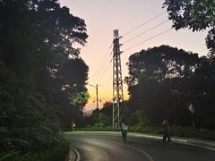 -广州市帽峰山景区