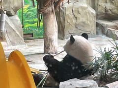 -灵玲国际马戏城