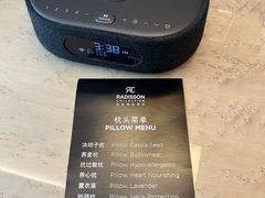 -无锡丽笙精选酒店