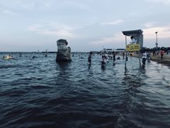 -碧海金沙
