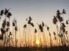 -合肥滨湖国家森林公园