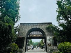 -台儿庄古城