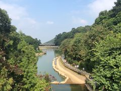 -广州市帽峰山景区