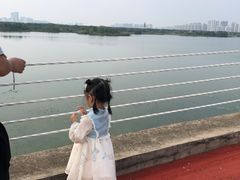 -贡湖湾湿地公园