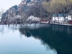 -连云港云龙涧原生态风景区
