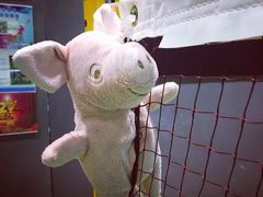 -DC动创羽毛球馆YONEX(双联馆)