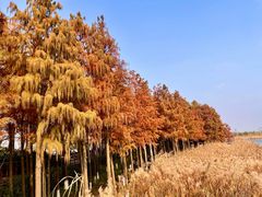 -苏州太湖国际会议中心