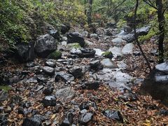 -云岫谷游猎自然风景区