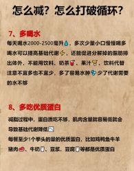 -Fundi张玉珊修身堂·indiba·BTL科技瘦身
