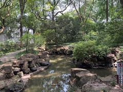 -上海醉白池公园