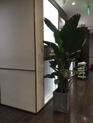 -崇尚GAVIN STYLE臻选