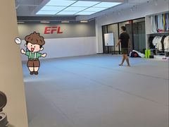 -EFL巴西柔术·综合格斗·泰拳·少儿体能训练(虹桥德必馆)