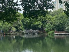 -荔湾湖公园