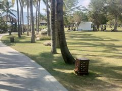 -三亚亚龙湾红树林度假酒店