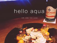 TruScallop-Aqua
