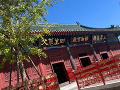 -天津大悲禅院