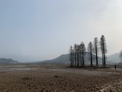 -四明湖