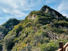 -大岭沟猕猴桃谷风景区