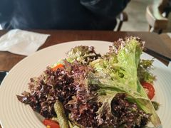 -The Cheebat 锌吧·Bistro(体育西店)