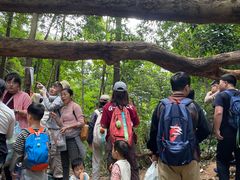 -黄埔油麻山森林公园