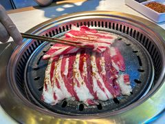 -杨记齐齐哈尔烤肉(总店)