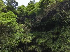 -海口火山口国家地质公园