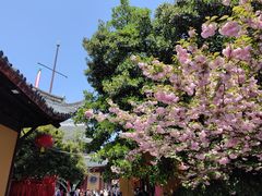 -龙华寺