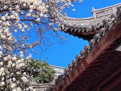 -龙华寺