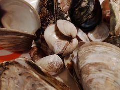 -V-ONE西雅图海鲜自助餐厅(仓山万达广场店)