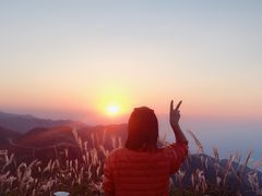 -大围山国家森林公园