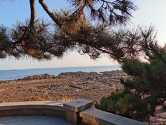 -八大关景区