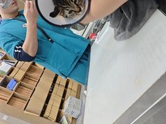 -瑞鹏宠物医院·骨外科·心肾科·肿瘤科(九亭店)
