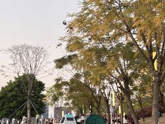 -白石龙音乐公园