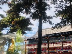 -棋盘山风景区