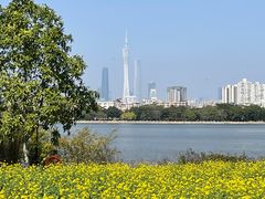 -海珠湖公园