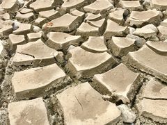 -绿岛公园(滨海新区)