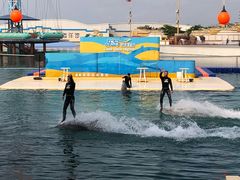 -秦皇岛乐岛海洋王国