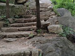 -大岭沟猕猴桃谷风景区