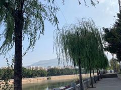 -光明港公园