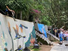 -西双版纳原始森林公园