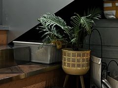 -SeekSeeking咖啡专门店(堰塘街店)