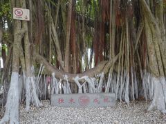 -胡里山炮台
