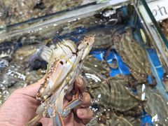 -船奇蒸汽海鲜·闽菜(八市海鲜总店)