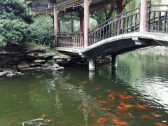 -华雅花园大酒店