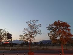 -清真·伊清阁餐厅