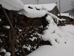-雪谷