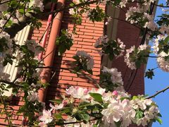 -天津市和平区哈密道小学