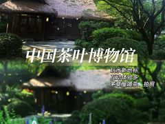 -中国茶叶博物馆(双峰馆区)