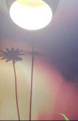 -时尚殿堂·颜SPA