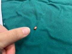 -苏州大学附属第二医院(三香院区)